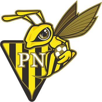 尼达克